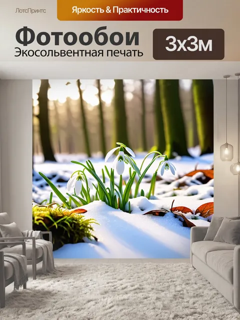 Фотообои подснежники, пробивающиеся сквозь снег, в лесу, окруженные мхом и увядающей листвой