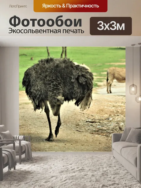 Фотообои Страус в парке дикой природы