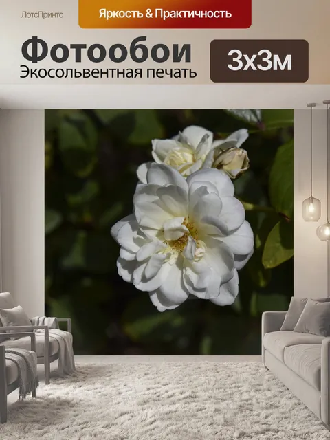 Фотообои Природная Бела