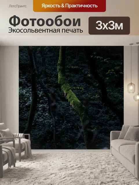 Фотообои Лес