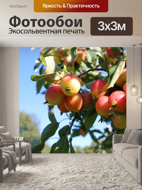 Фотообои Paradisäpple