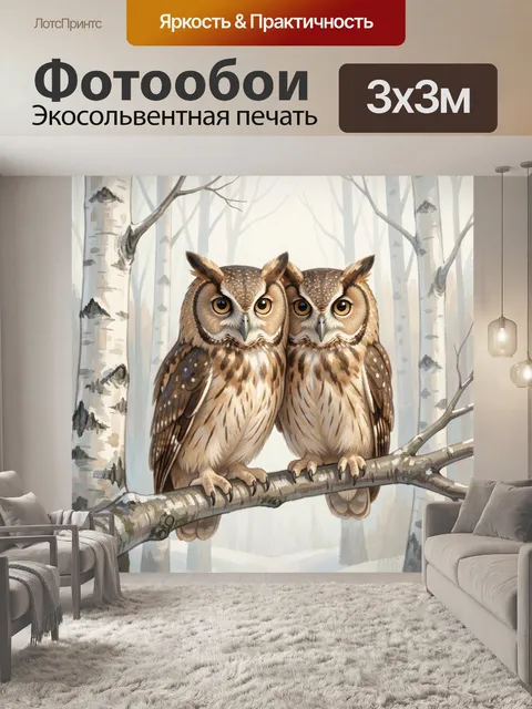 Фотообои Две совы на берёзовой ветке