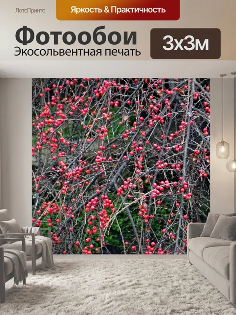 Фотообои Зимний лес