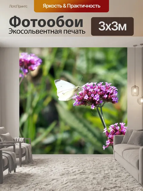 Фотообои Бабочка на цветке