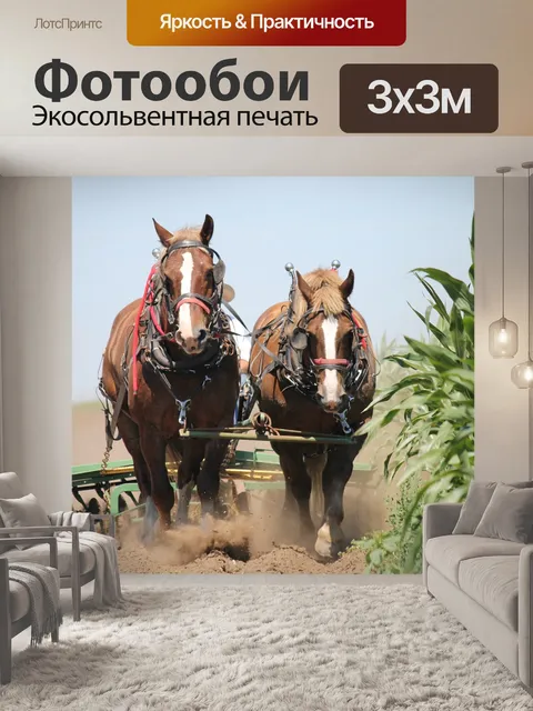 Фотообои Бельгийские лошади
