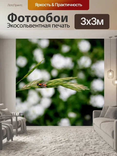 Фотообои удар летать на Дикая трава