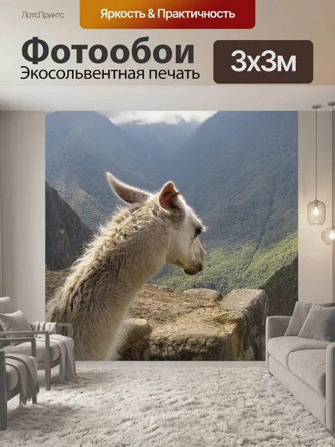 Фотообои Лама