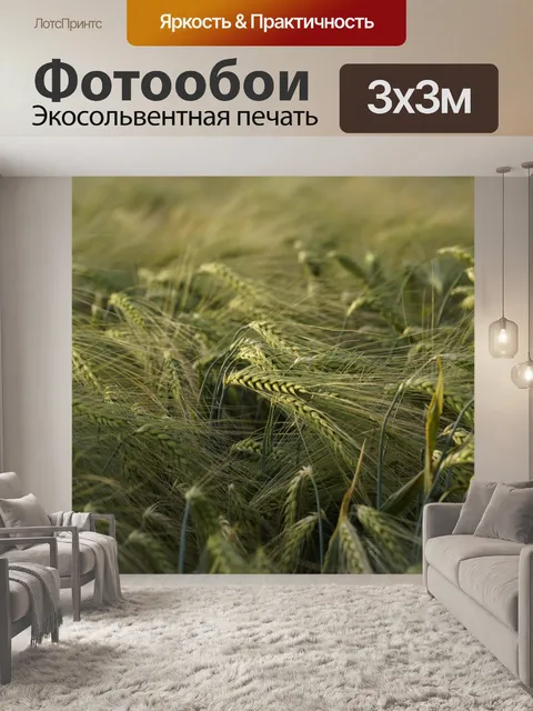 Фотообои Плоды поля ржаного ячменя