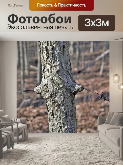 Фотообои Дерево