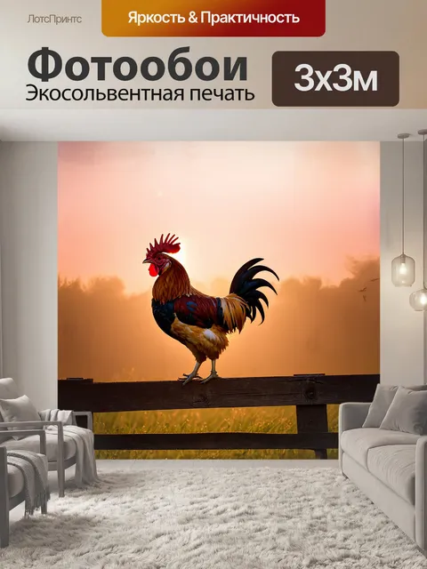 Фотообои петух на утреннем рассвете