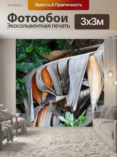 Фотообои разорванный мертвый лист гигантской стре