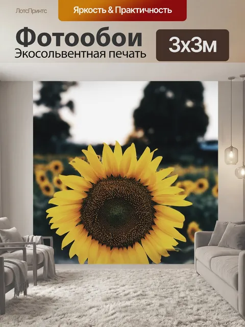 Фотообои Подсолнечник