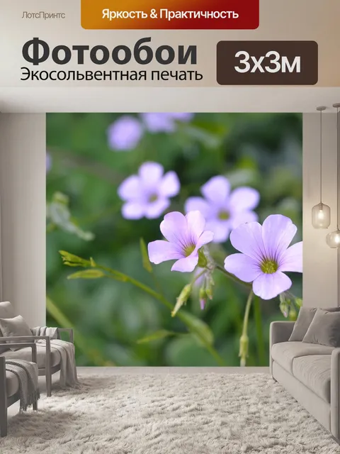 Фотообои Цветок клевера