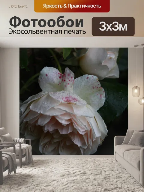 Фотообои Плетистая роза