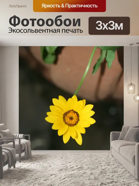 Фотообои ярко-желтый ромашка