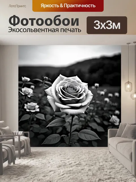 Фотообои розы в стиле черно-белый, с пейзажем на фоне, в котором розы органично вписываются в окружающую природу