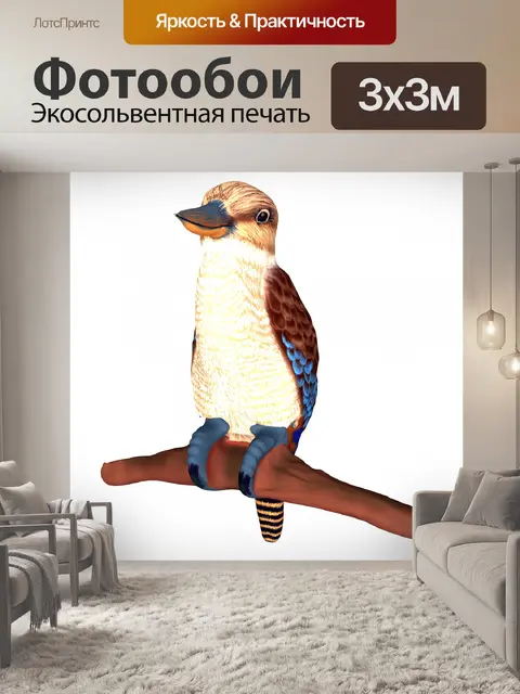 Фотообои кукабурра