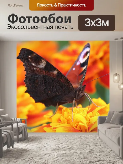Фотообои Бабочка
