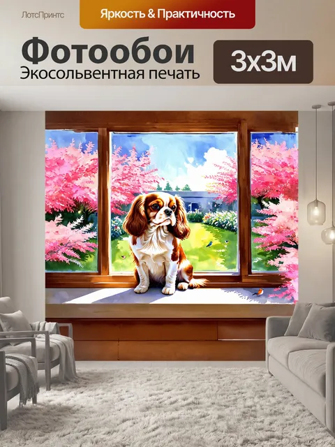 Фотообои солнечное утро, собака, кавалер кинг чарльз спаниель, сидит на подоконнике, наблюдая за миром за окном