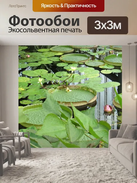 Фотообои Вода