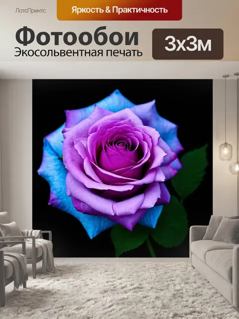 Фотообои нежная роза с оттенками голубого и пурпурного