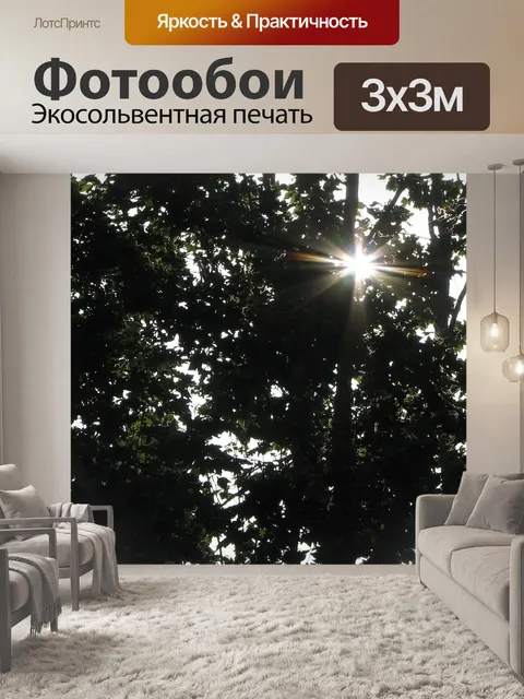 Фотообои Солнце сквозь деревья