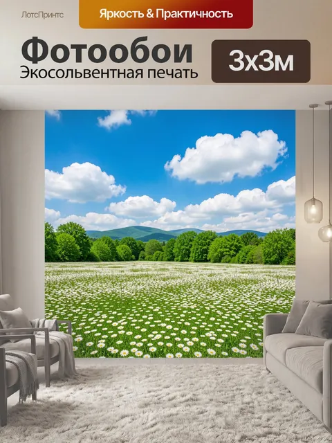 Фотообои Ромашковое поле под облаками