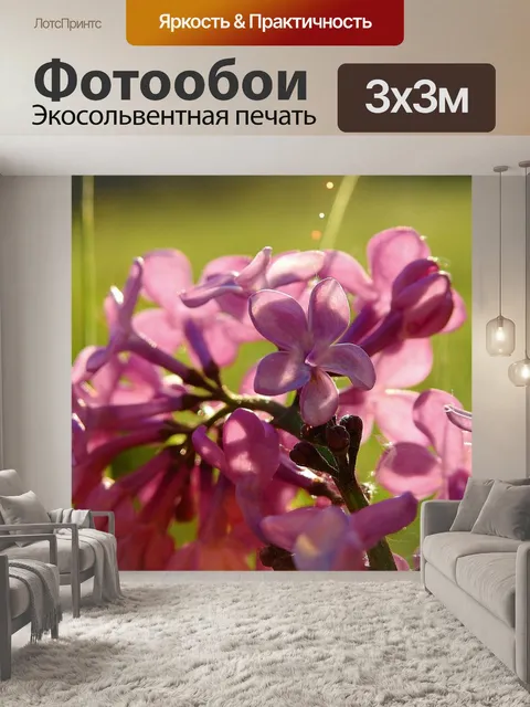 Фотообои Дикий без