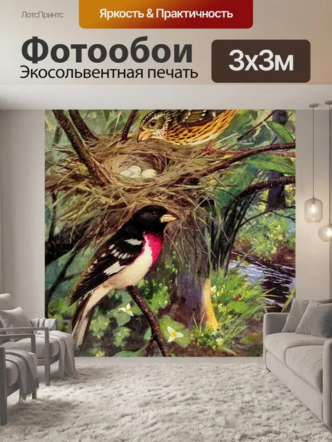 Фотообои Изображение розогрудой птицы-глухоклюва