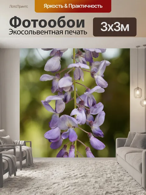 Фотообои Глициния