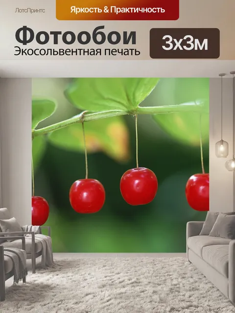 Фотообои Красные ягоды