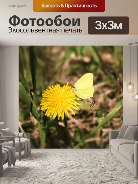 Фотообои Сера бабочка