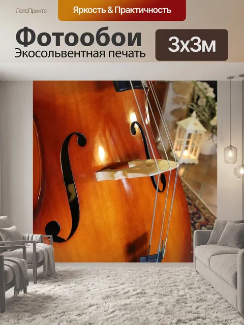 Фотообои Контрабас