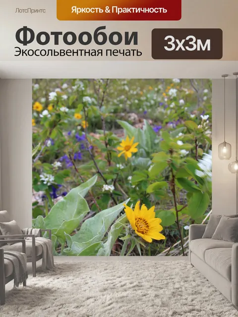 Фотообои Дикие горные цветы