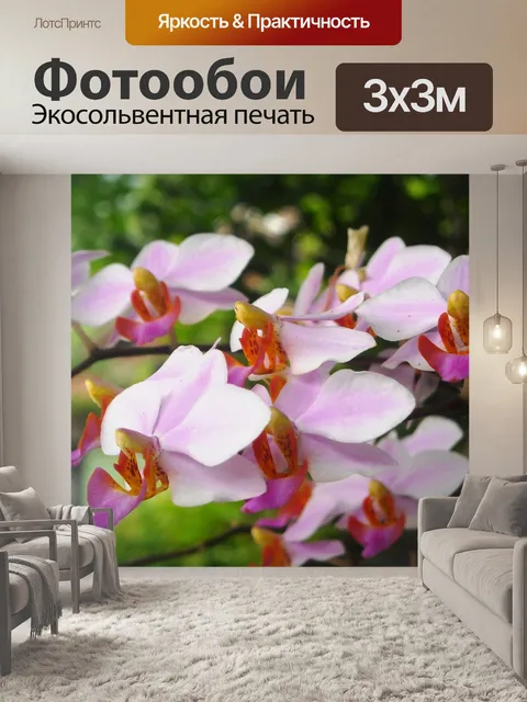 Фотообои Цветок