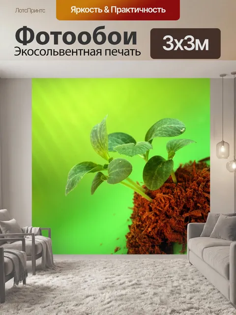 Фотообои Молодое дерево
