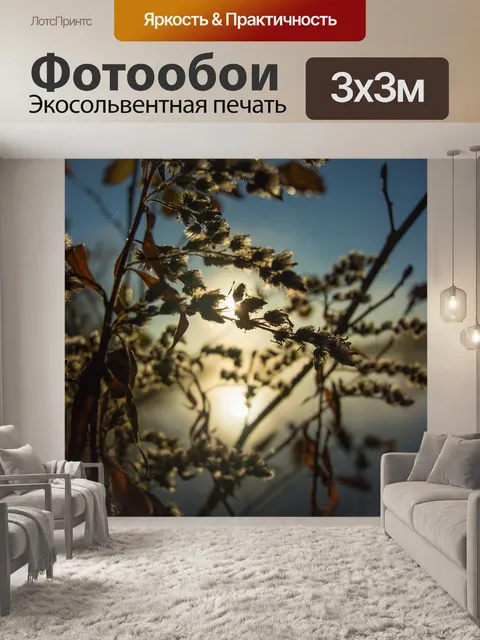 Фотообои Восход солнца