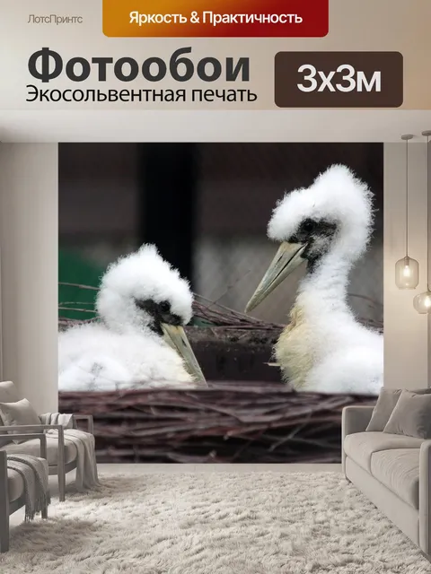 Фотообои Птенцы