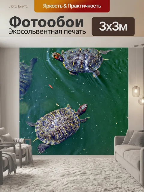 Фотообои Черепахи плавание