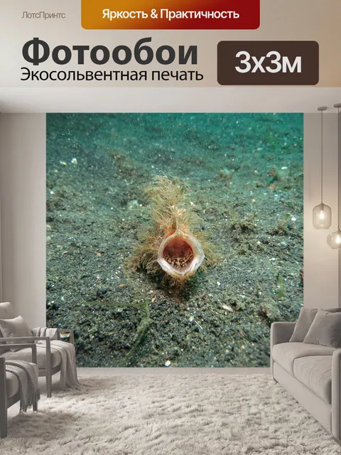 Фотообои Морской черт