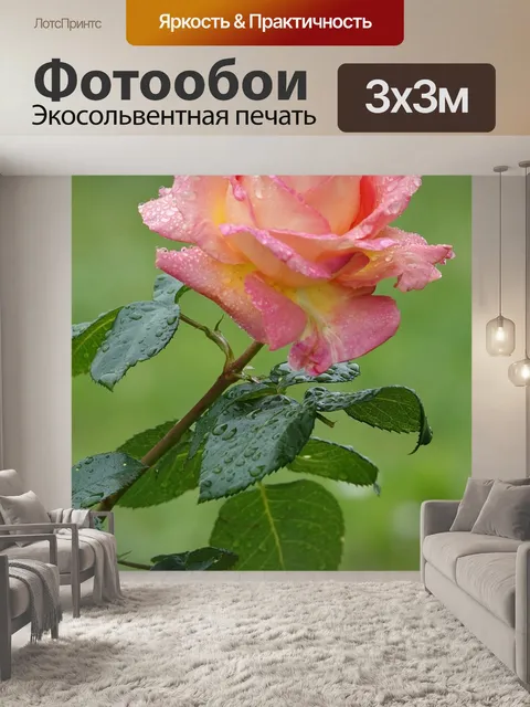 Фотообои Розовый