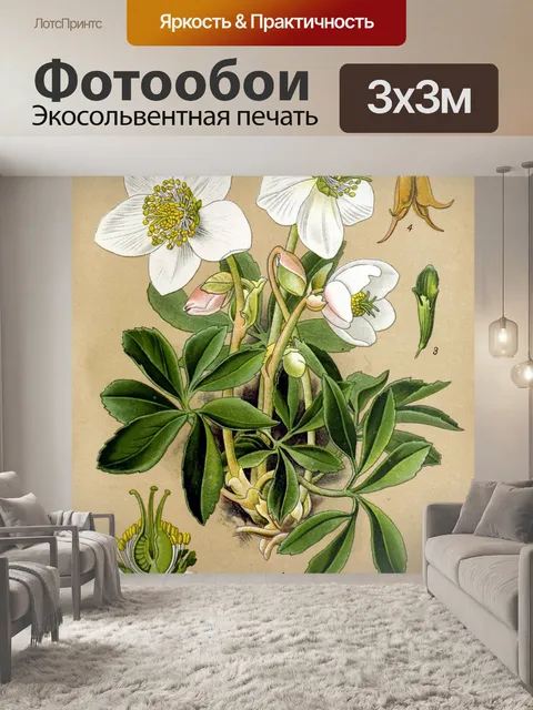 Фотообои Цветок белый винтажное искусство