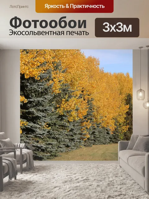 Фотообои Желтая осина и ель
