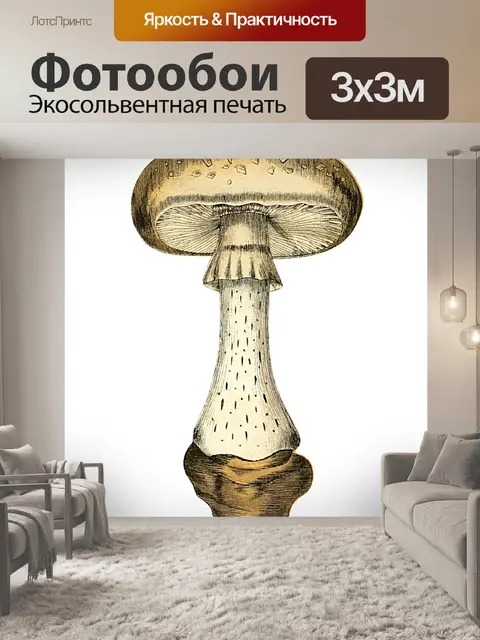 Фотообои Винтаж Клипарт Гриб Чемпион