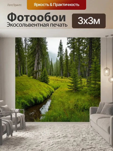 Фотообои лес с ручьем, протекающим через зеленую лужайку, среди высоких сосен и елей