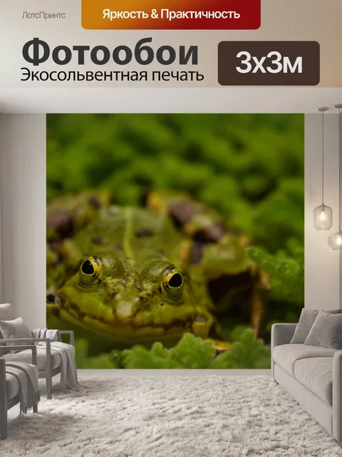 Фотообои Лягушачьи глаза