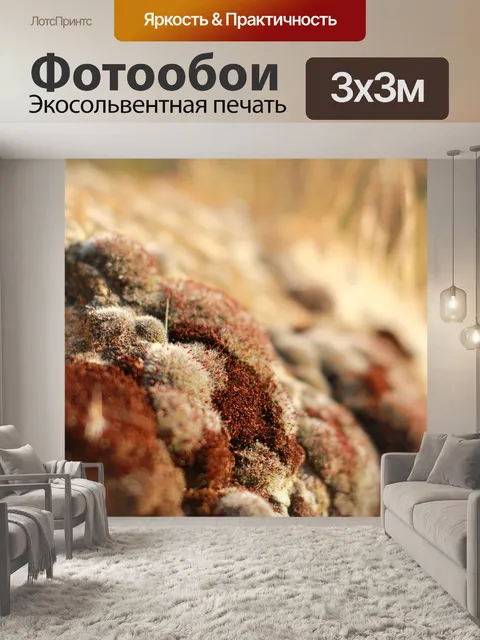 Фотообои Природа