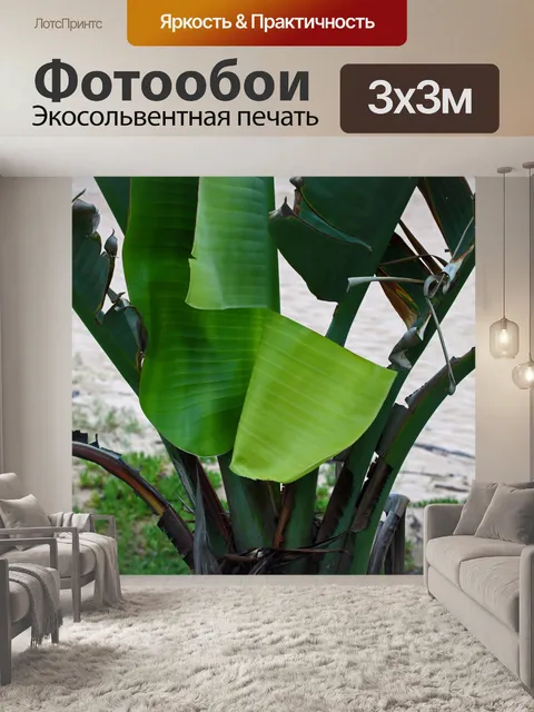 Фотообои рваный зеленый лист гигантской стрелиции