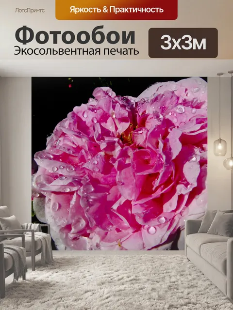 Фотообои Влажные Rose Капельки