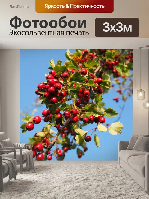 Фотообои Ягода